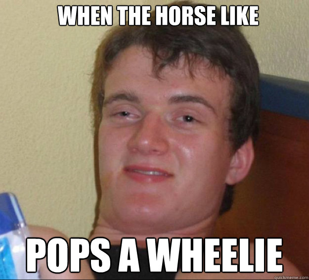 when the horse like pops a wheelie - when the horse like pops a wheelie  10guy