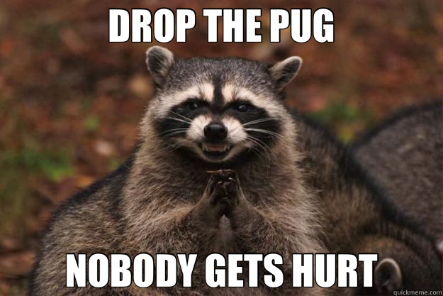 DROP THE PUG NOBODY GETS HURT - DROP THE PUG NOBODY GETS HURT  Evil Plotting Raccoon