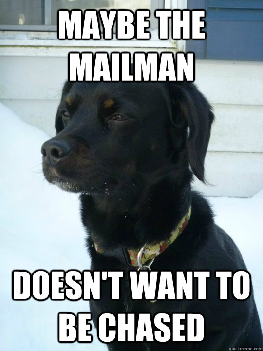 Maybe the mailman doesn't want to be chased  Philosophical Puppy