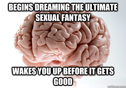 Begins dreaming the ultimate sexual fantasy  Wakes you up before it gets good  Scumbag Brain