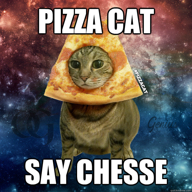 Pizza cat say CHESSE - Pizza cat say CHESSE  PIZZACAT