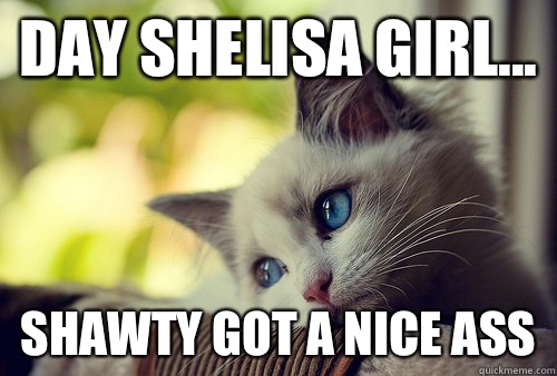 Day Shelisa girl... Shawty got a nice ass  First World Problems Cat