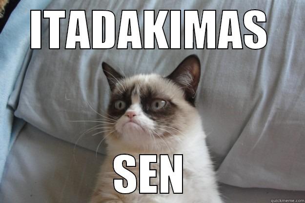 ITADAKIMAS SEN Grumpy Cat