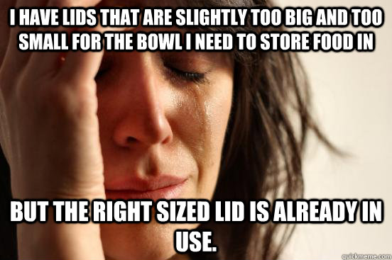 I have lids that are slightly too big and too small for the bowl I need to store food in but the right sized lid is already in use. - I have lids that are slightly too big and too small for the bowl I need to store food in but the right sized lid is already in use.  First World Problems