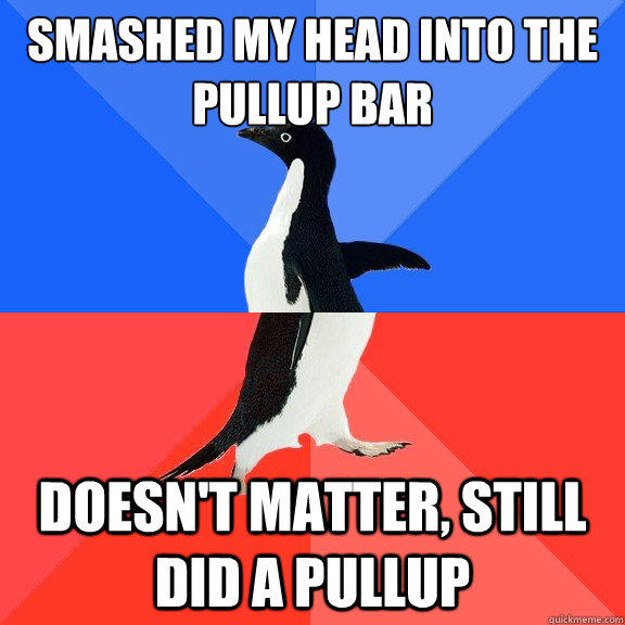 Smashed my head into the pullup bar Doesn't matter, still did a pullup  