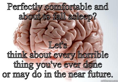 Every night. - PERFECTLY COMFORTABLE AND ABOUT TO FALL ASLEEP? LET'S THINK ABOUT EVERY HORRIBLE THING YOU'VE EVER DONE OR MAY DO IN THE NEAR FUTURE. Scumbag Brain