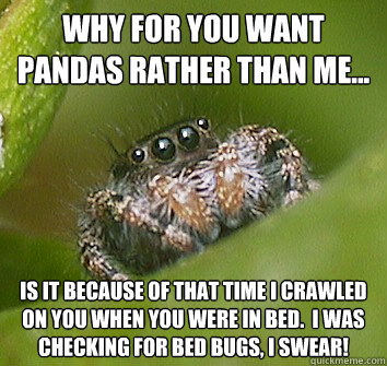 Why for you want pandas rather than me... Is it because of that time I crawled on you when you were in bed.  I was checking for bed bugs, I swear!  Misunderstood Spider