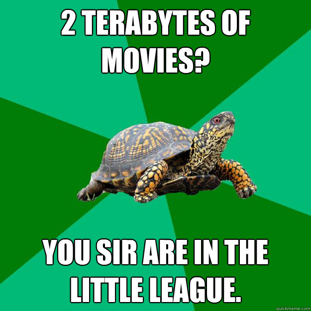 2 terabytes of movies? You sir are in the little league.  Torrenting Turtle