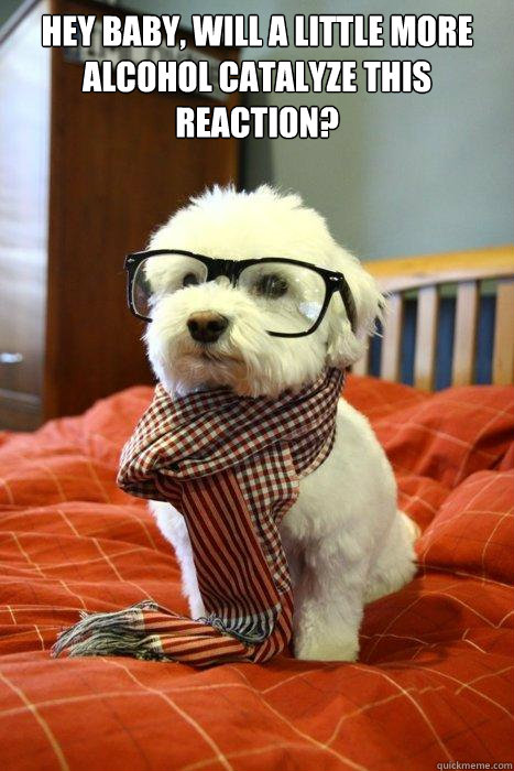 Hey baby, will a little more alcohol catalyze this reaction?
  Hipster Dog