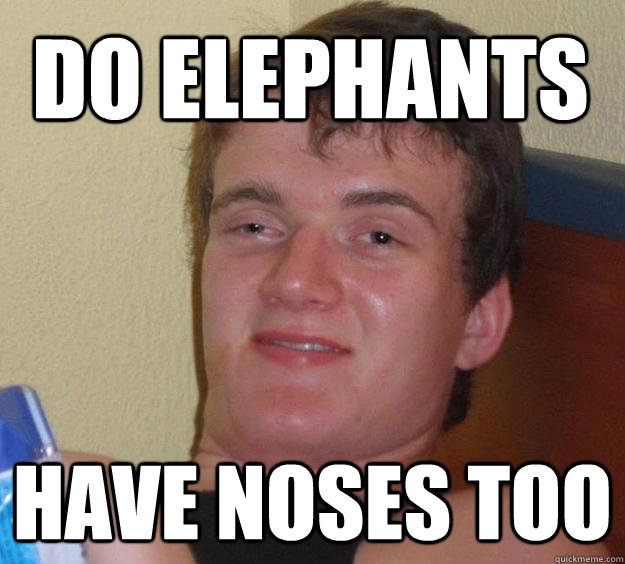 Do Elephants  Have Noses too  10 Guy