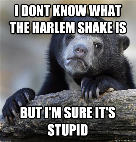 I DONT KNOW WHAT THE HARLEM SHAKE IS BUT I'M SURE IT'S STUPID  Confession Bear