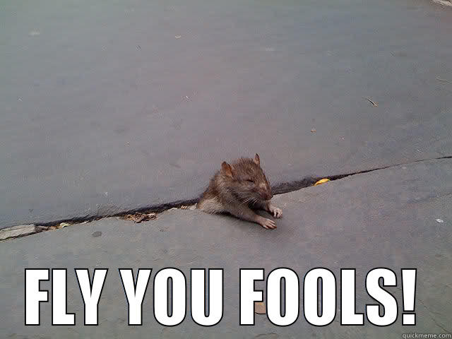 Gandalf Mouse -  FLY YOU FOOLS! Misc