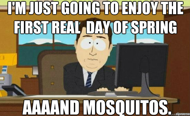 I'm just going to enjoy the first real  day of spring AAAAND Mosquitos.  aaaand its gone