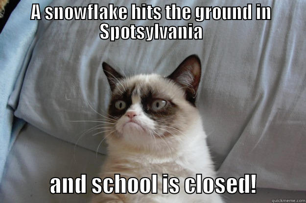 A SNOWFLAKE HITS THE GROUND IN SPOTSYLVANIA             AND SCHOOL IS CLOSED!           Grumpy Cat