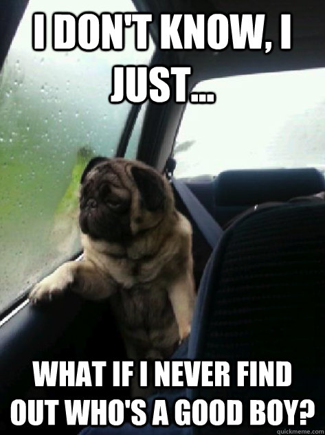 I don't know, I just... What if I never find out who's a good boy?  Introspective Pug