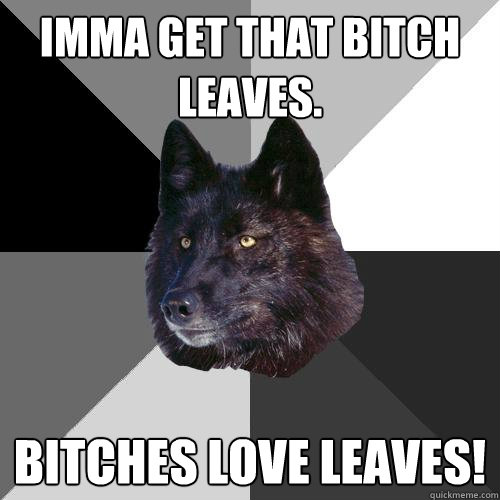 Imma get that bitch leaves. bitches love leaves!  Sanity Wolf