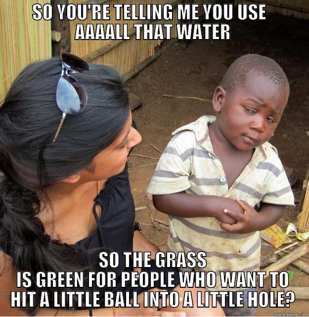   SO YOU'RE TELLING ME YOU USE     AAAALL THAT WATER SO THE GRASS IS GREEN FOR PEOPLE WHO WANT TO HIT A LITTLE BALL INTO A LITTLE HOLE? Skeptical Third World Kid