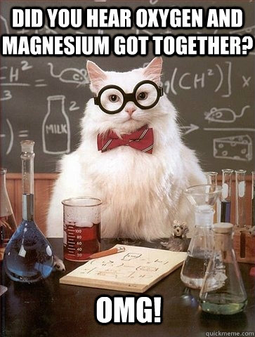 Did you hear oxygen and magnesium got together? OMg!  Chemistry Cat