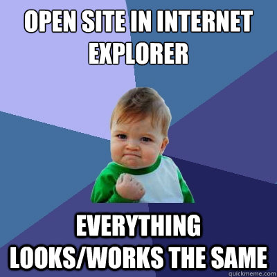 Open site in Internet Explorer Everything looks/works the same  Success Kid