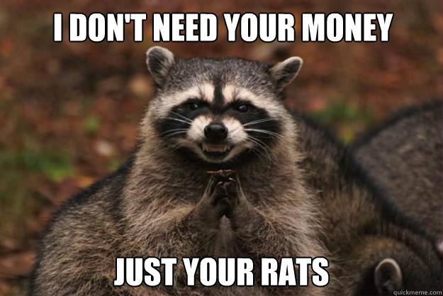 i don't need your money JUST YOUR RATS  Evil Plotting Raccoon