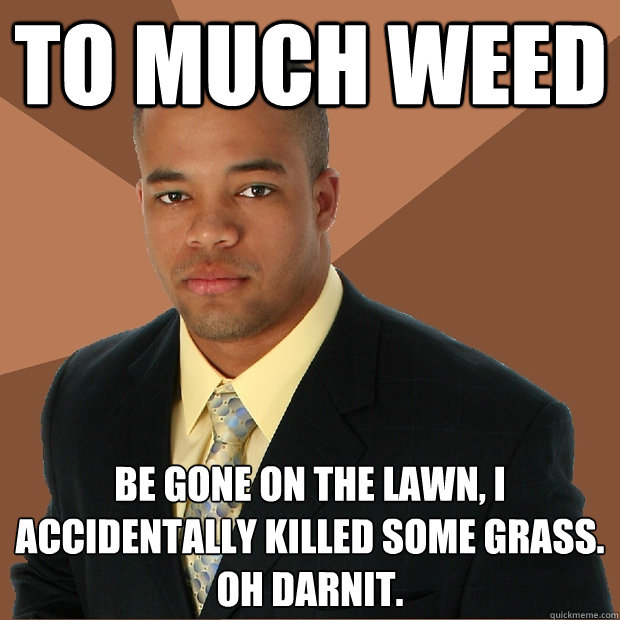 to much weed be gone on the lawn, I accidentally killed some grass. oh darnit.  Successful Black Man