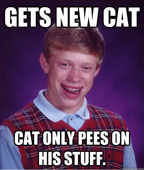 Gets new cat cat only pees on his stuff.  Bad Luck Brian