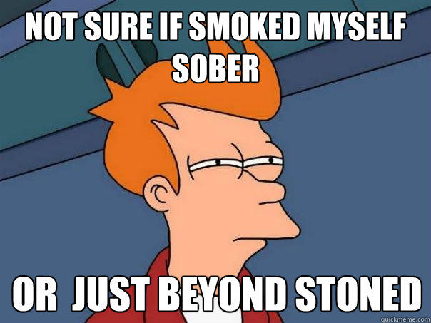 Not sure if smoked myself sober Or  just beyond stoned  Futurama Fry