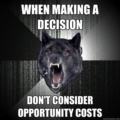 When making a decision Don't consider opportunity costs  Insanity Wolf