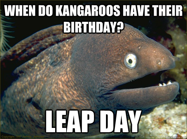 When do kangaroos have their birthday? Leap day - When do kangaroos have their birthday? Leap day  Bad Joke Eel