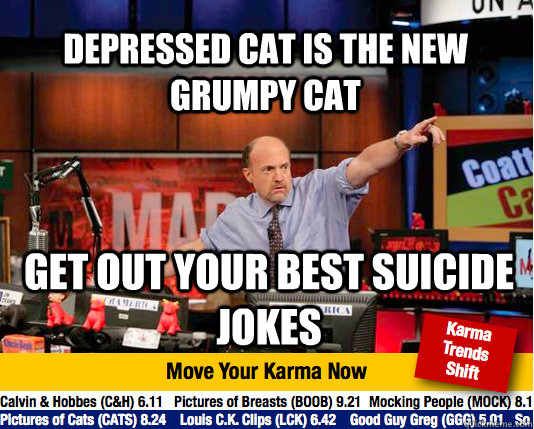 depressed cat is the new grumpy cat get out your best suicide jokes - depressed cat is the new grumpy cat get out your best suicide jokes  Mad Karma with Jim Cramer