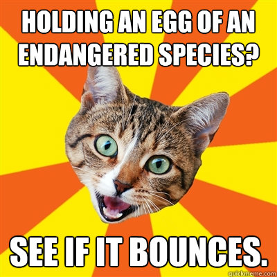 Holding an egg of an endangered species? See if it bounces.  Bad Advice Cat