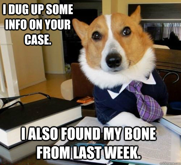 I dug up some info on your case. I also found my bone from last week.  Lawyer Dog