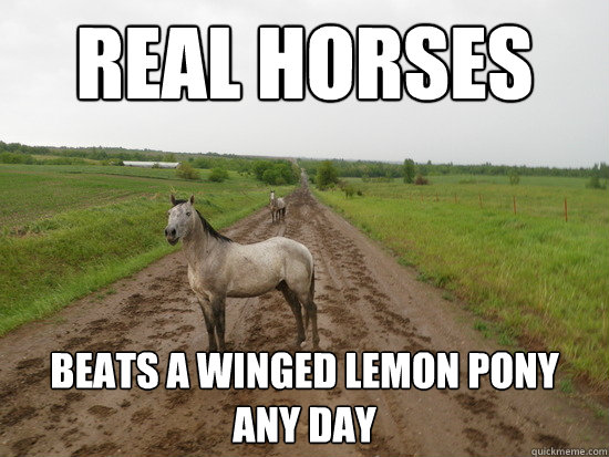 Real horses Beats a winged lemon pony any day  