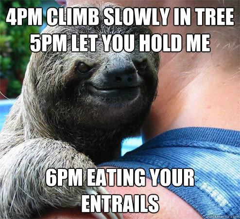 4pm climb slowly in tree
5pm let you hold me 6pm eating your entrails  Suspiciously Evil Sloth