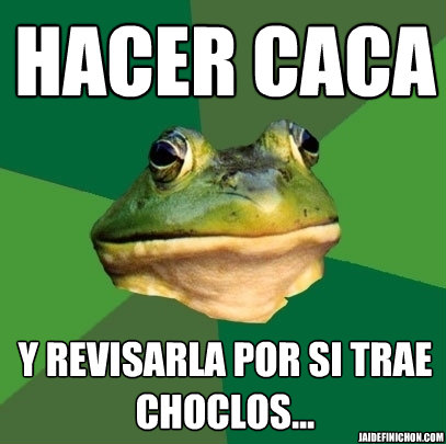 hacer caca y revisarla por si trae choclos... jaidefinichon.com  Foul Bachelor Frog