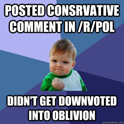 posted consrvative comment in /r/pol didn't get downvoted into oblivion  Success Kid