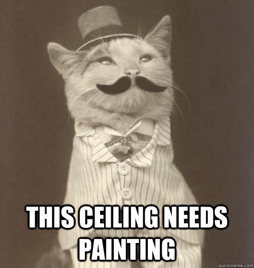  this ceiling needs painting  Original Business Cat