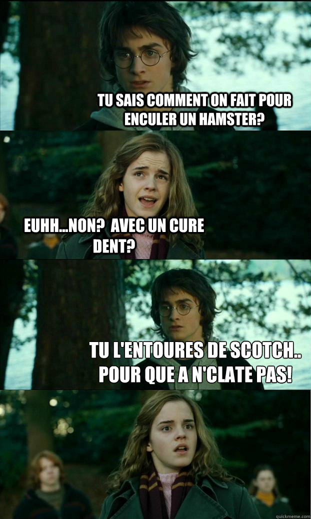 Tu sais comment on fait pour enculer un hamster? euhh...non?  Avec un cure dent? Tu l'entoures de scotch.. pour que ça n'éclate pas!  Horny Harry