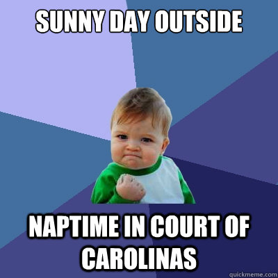 sunny day outside naptime in court of carolinas - sunny day outside naptime in court of carolinas  Success Kid