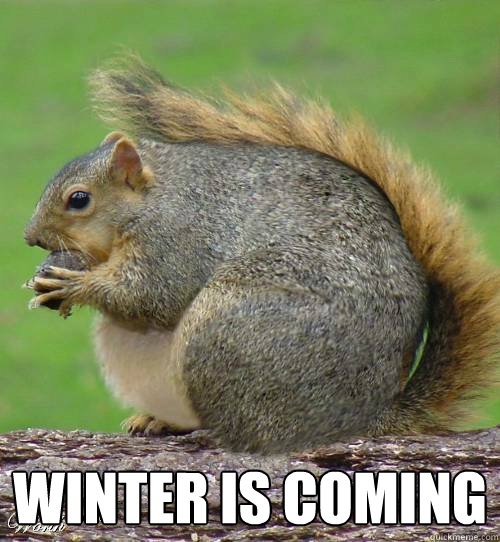  Winter is Coming  