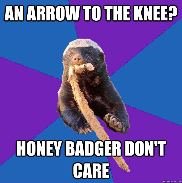 an arrow to the knee? honey badger don't care  Honey Badger Dont Care