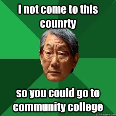 I not come to this counrty so you could go to community college  High Expectations Asian Father