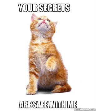 your secrets are safe with me - your secrets are safe with me  Self-aware Cat