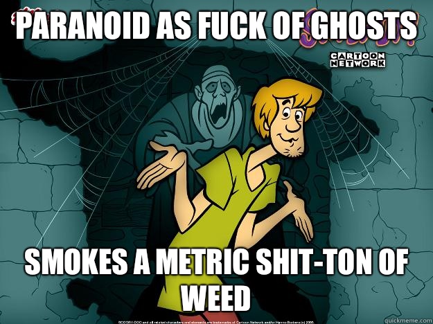 Paranoid as fuck of ghosts Smokes a metric shit-ton of weed  Irrational Shaggy