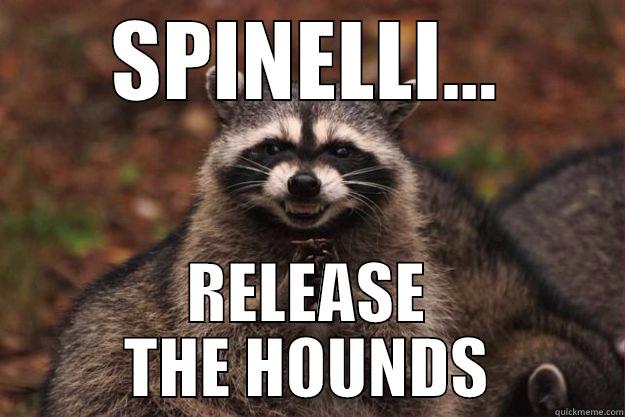 SPINELLI... RELEASE THE HOUNDS Evil Plotting Raccoon