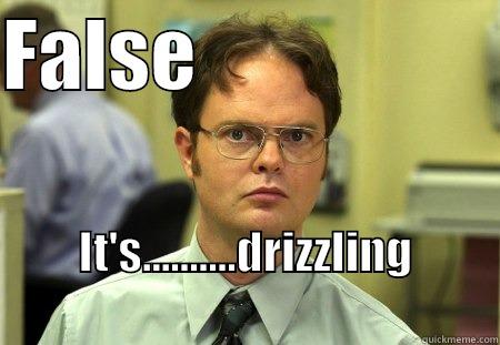 FALSE                    IT'S..........DRIZZLING                   Schrute