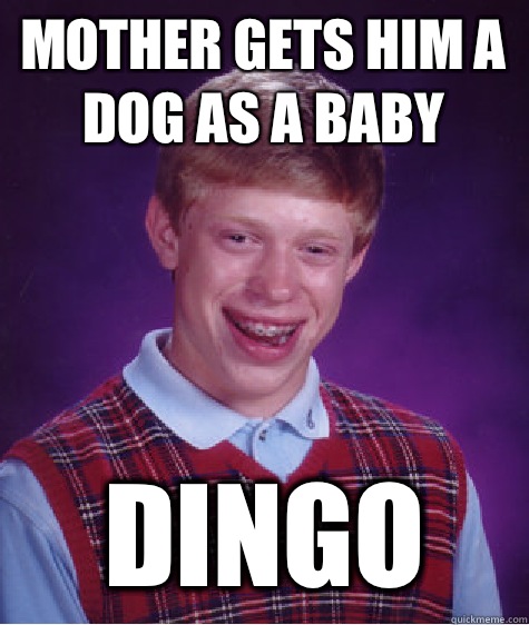 Mother gets him a dog as a baby Dingo  Bad Luck Brian