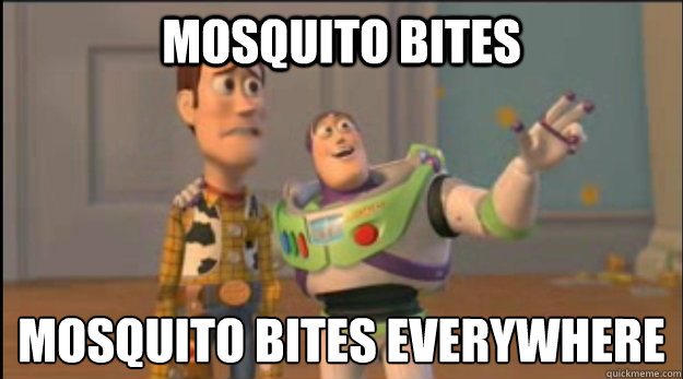 Mosquito bites mosquito bites everywhere - Mosquito bites mosquito bites everywhere  Misc