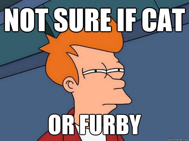 not sure if cat or furby - not sure if cat or furby  Futurama Fry