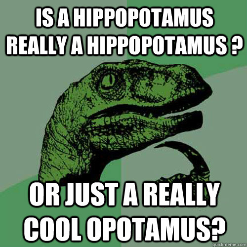 is a hippopotamus really a hippopotamus ? or just a really cool opotamus?  Philosoraptor